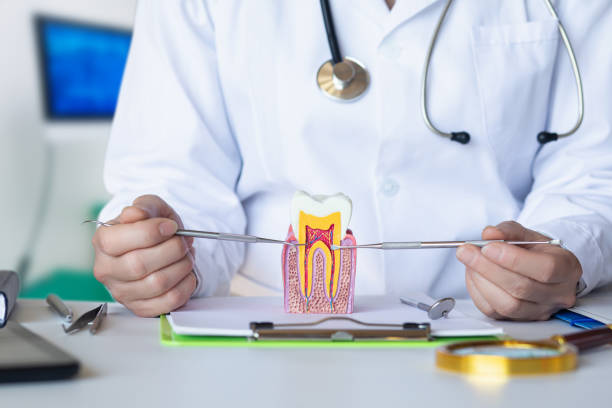 Best Emergency Denture Repair in Port Norris, NJ
